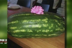 黑吃瓜网,网络舆论场中的暗流涌动